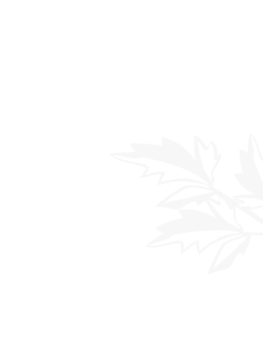 世界杯下注足球